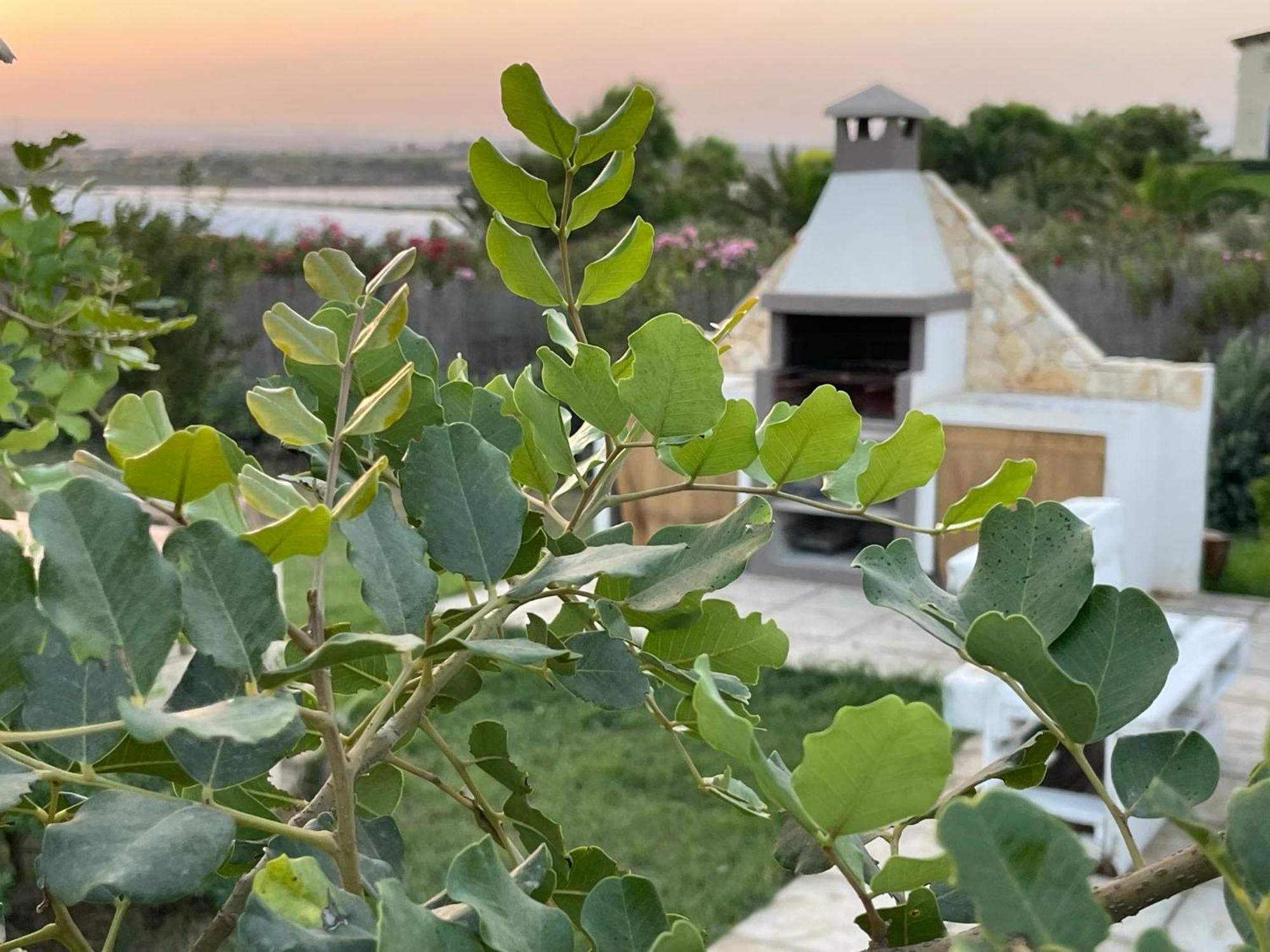 Villa Triona Marzamemi Con Piscina Eksteriør billede